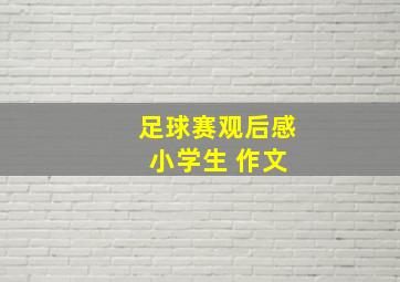 足球赛观后感 小学生 作文